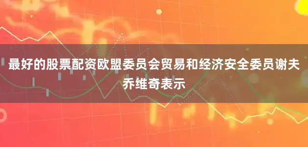 最好的股票配资欧盟委员会贸易和经济安全委员谢夫乔维奇表示